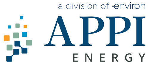 APPI Logo